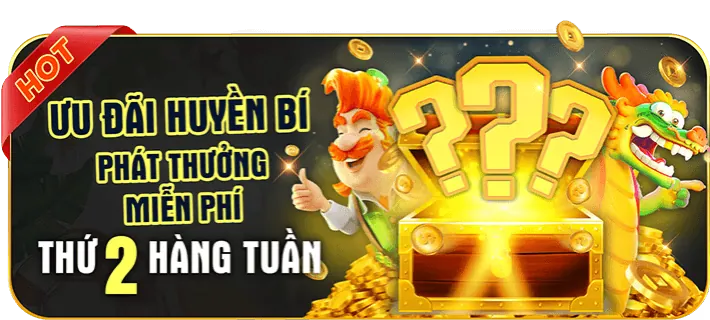 Hỗ trợ đối tác tận tâm từ New888